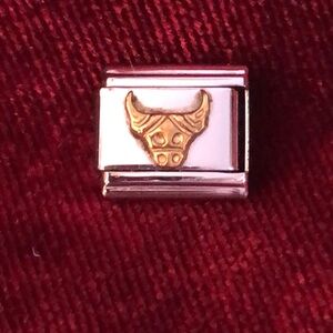 Taurus or bull link for Italian charm bracelet